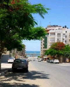 Img 20241027 Wa0020
