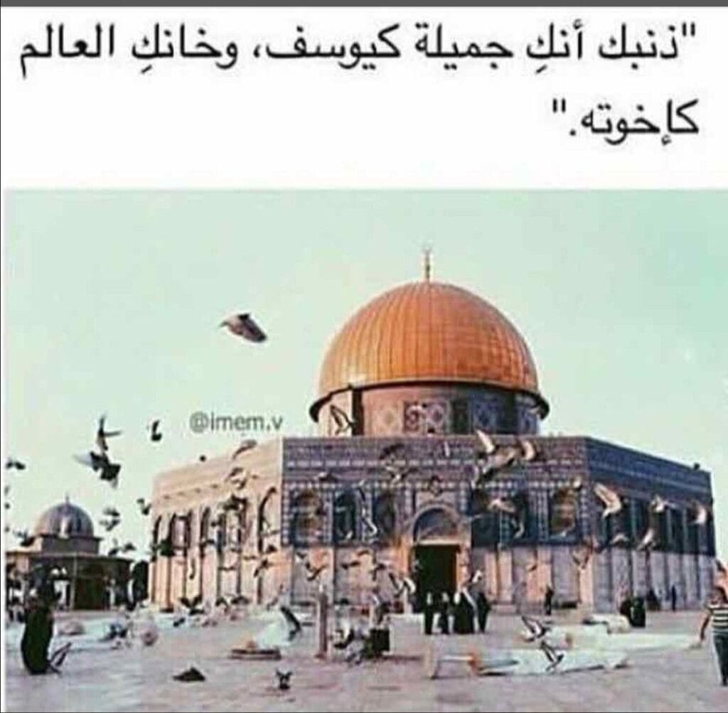 Img 20241031 Wa0165
