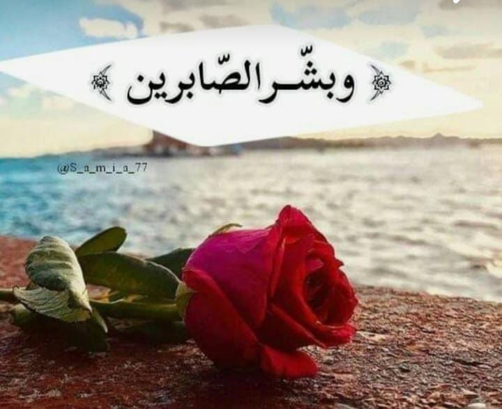 Img 20241106 Wa0068