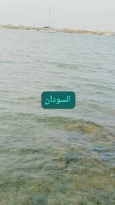 Img 20241108 Wa0058