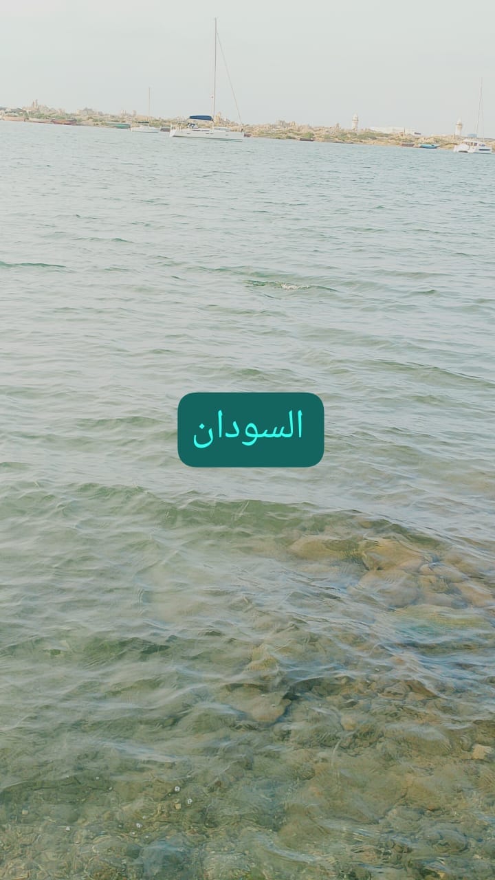 Img 20241110 Wa0006