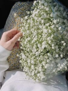 Img 20241110 Wa0023