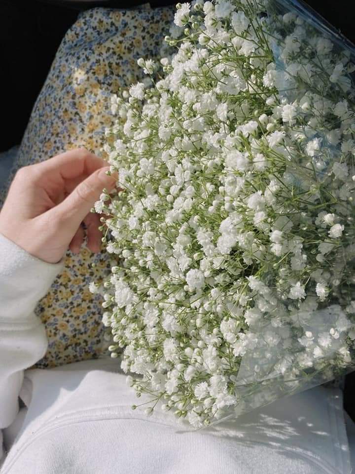 Img 20241110 Wa0023