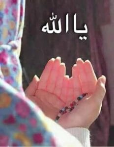 Img 20241119 Wa0132