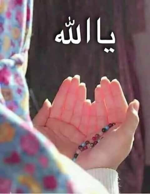 Img 20241119 Wa0132