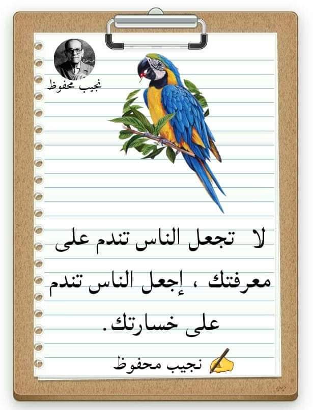 Img 20241119 Wa0143