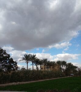 Img 20241120 Wa0136
