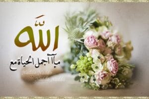 Img 20241122 Wa0079