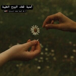 Img 20241126 Wa0059