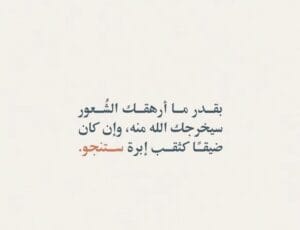 Img 20241202 Wa0017