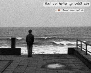 Img 20241204 Wa0052