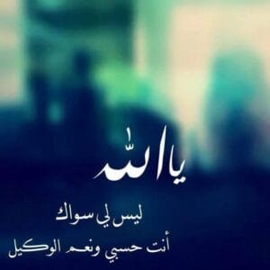 Img 20241216 Wa0044