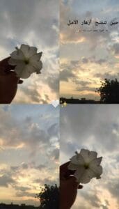 Img 20241220 Wa0085