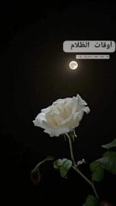 Img 20241222 Wa0022