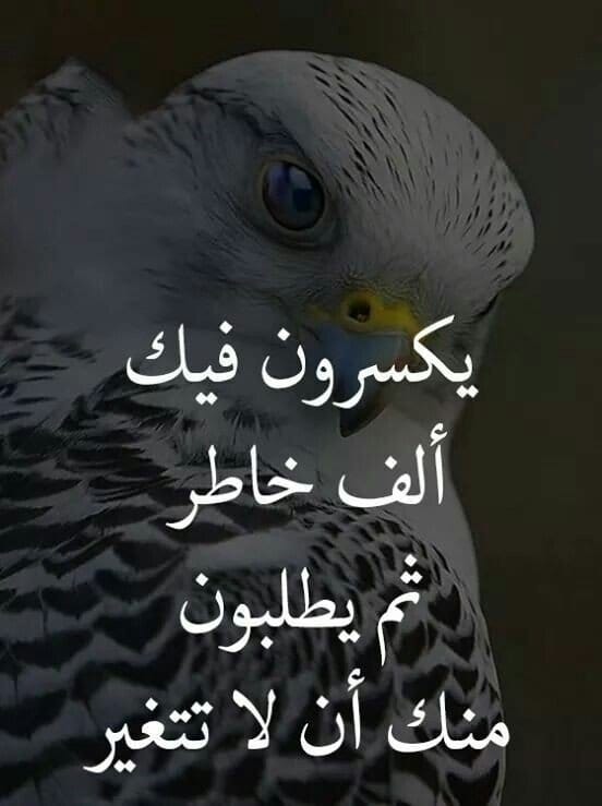 Img 20241223 Wa0043