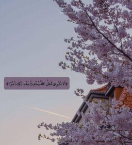 Img 20241227 Wa0049