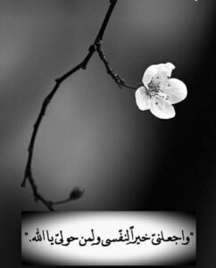 Img 20241227 Wa0059