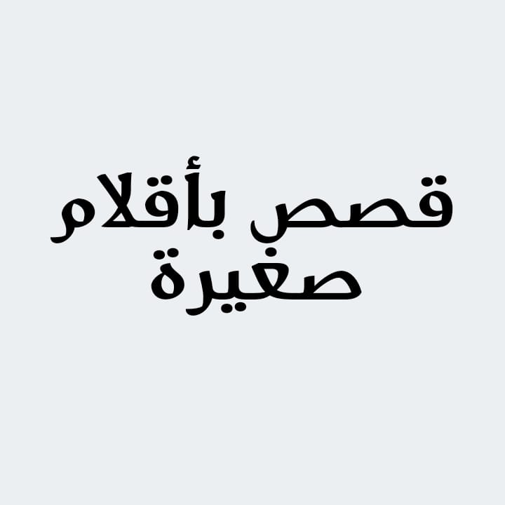 Img 1735386606750
