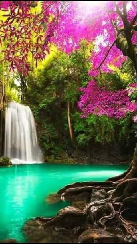 Img 20241231 Wa0024
