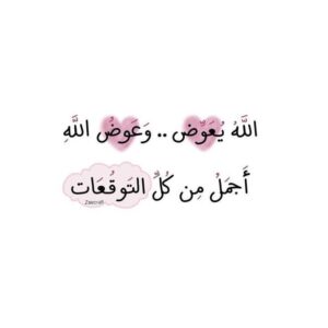 Img 20250101 Wa0006