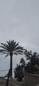 Img 20250101 Wa0024