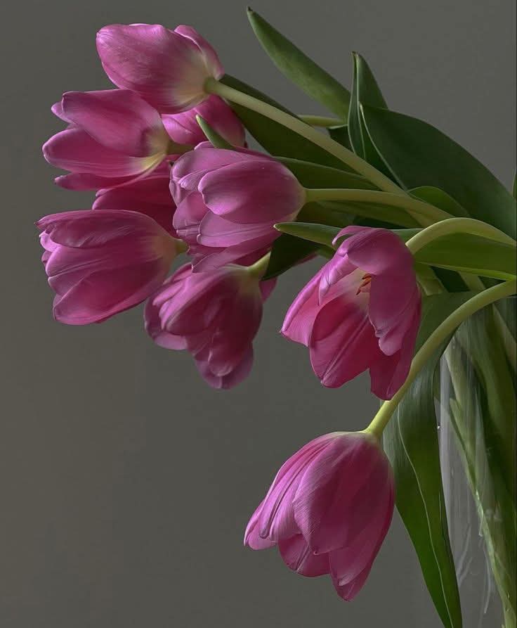 Img 20250103 Wa0020