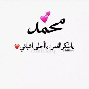Img 20250108 Wa0035