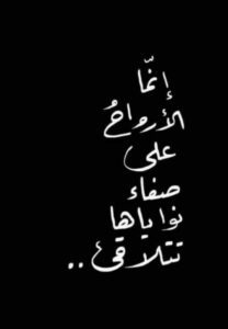 Img 20250110 Wa0030(1)