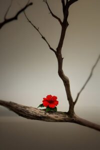 Img 20250124 Wa0122