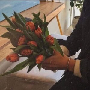 Img 20250127 Wa0103