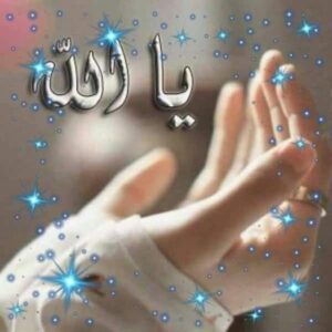 Img 20241212 Wa0084(1)
