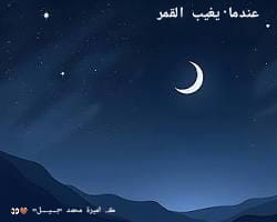 Img 20250205 Wa0055