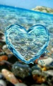 Img 20250210 Wa0044
