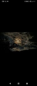 Img 20250214 Wa0061