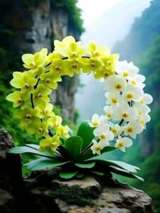 Img 20250224 Wa0063