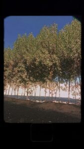 Img 20250227 Wa0018(1)