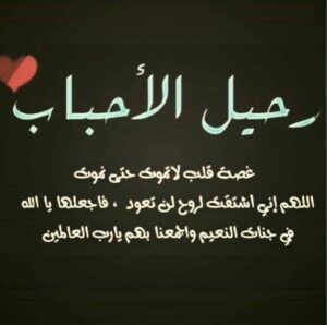 Img 20250311 Wa0005
