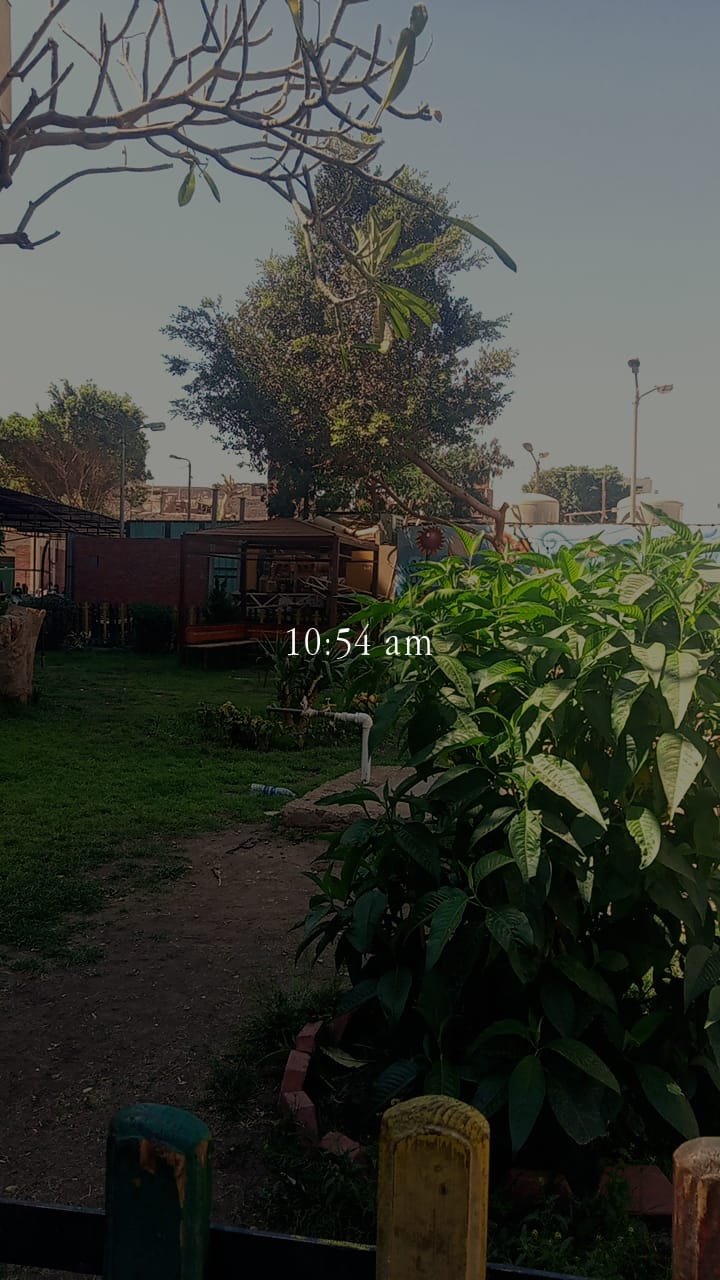 Img 20250313 Wa0015