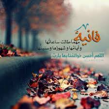 Img 20250401 Wa0055