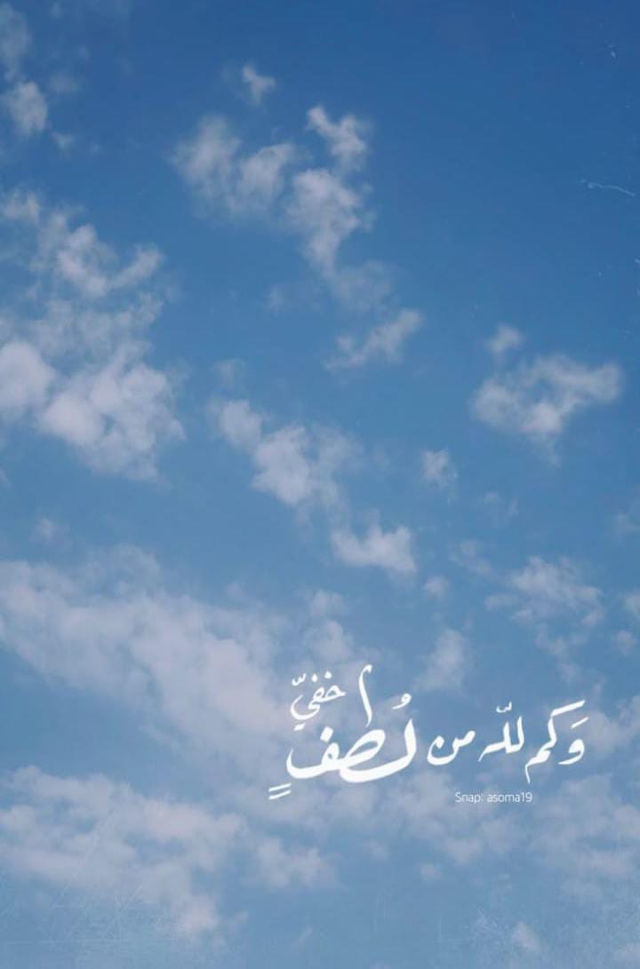 Img 20250406 Wa0025