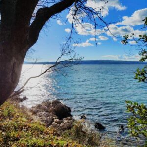 Img 20250414 Wa0027