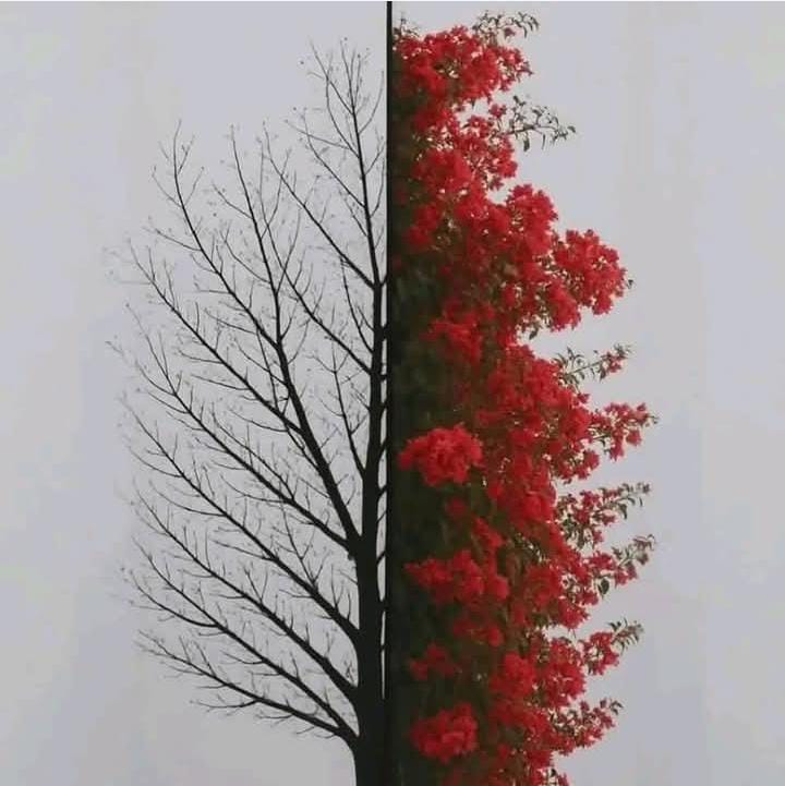 Img 20250501 Wa0085