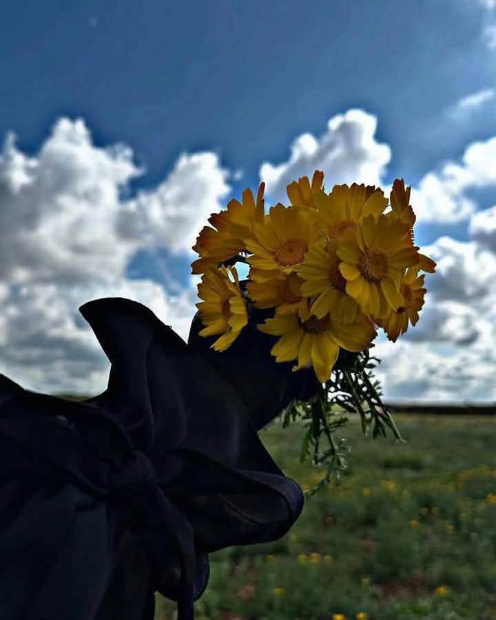 Img 20250512 Wa0058